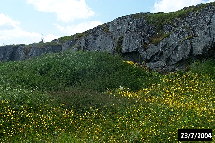 Vegetation shadows such as the dark mound here are useful to identify cultural features. This mound was once a root cellar.